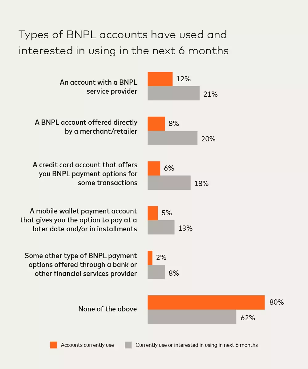 Types of BNPL accounts 