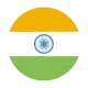 Indian flag icon