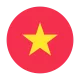 Vietnam flag icon